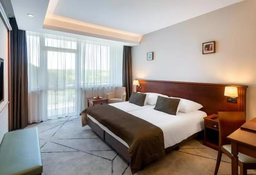 اتاق استاندارد با بالکن, Hunguest Saliris