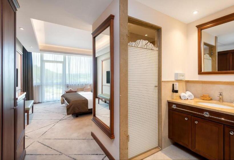 バルコニー付きスタンダードルーム, Hunguest Saliris