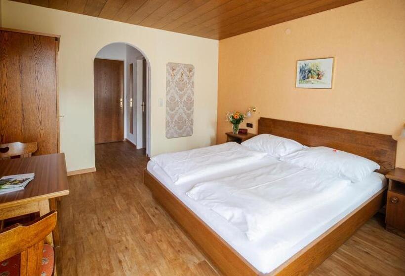 شقة غرفة نوم واحدة مزودة بشُرفة, Garni Brigitte