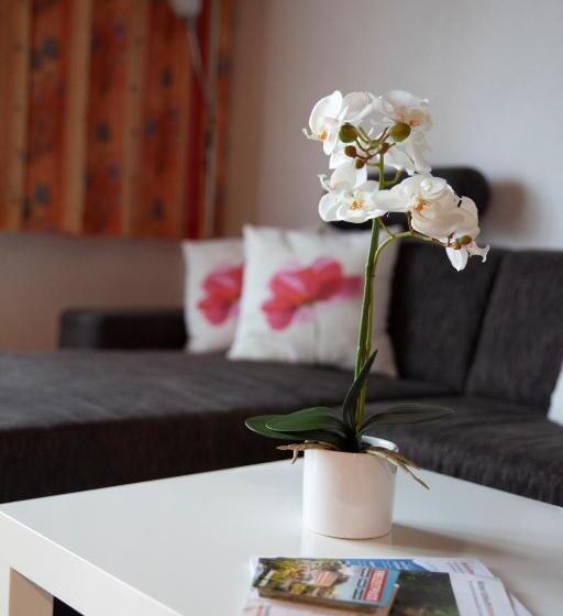 شقة سوبريور غرفة واحدة, Garni Brigitte