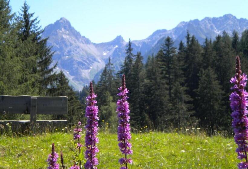 غرفة قياسية فردية, Garni Brigitte