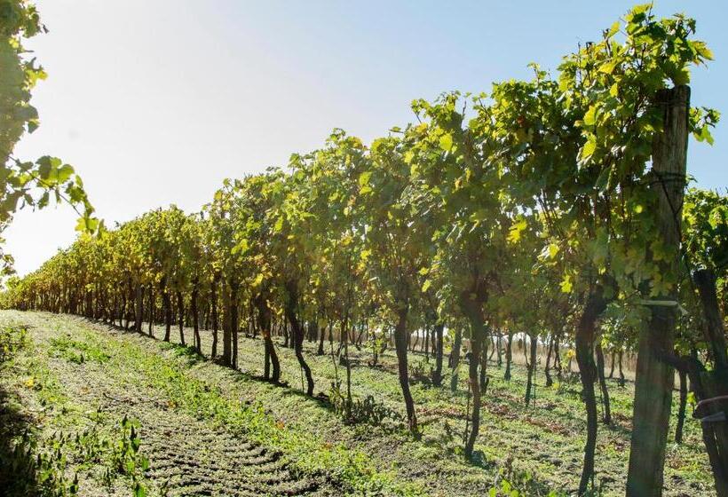 Номер Стандарт с Балконом, Gästehaus Schmidt