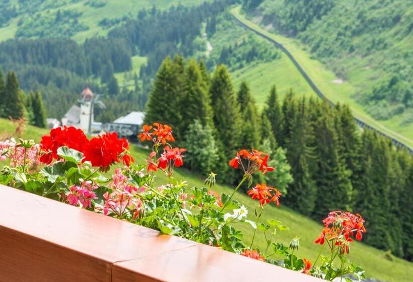 バルコニー付きシングルスタンダードルーム, Haus Furka