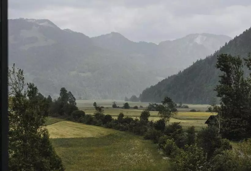 Standard Yhden Hengen Huone, Gesundhotel Bad Reuthe