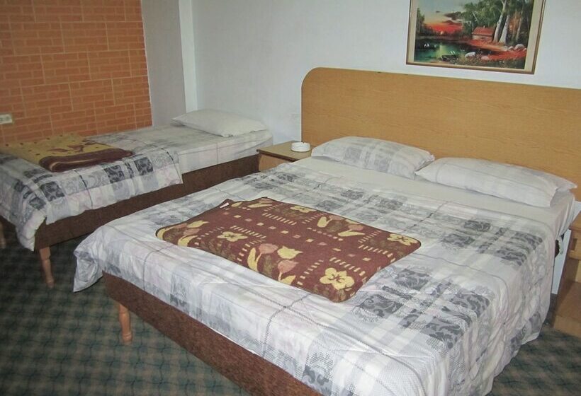 اتاق استاندارد سه نفره, Asia