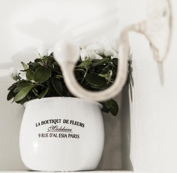 Chambre Standard, Cervetta 5