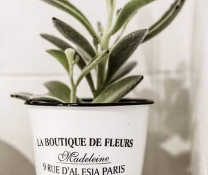 Chambre Triple Standard, Cervetta 5