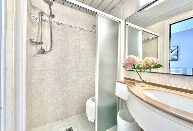 エコノミールーム, Maestri