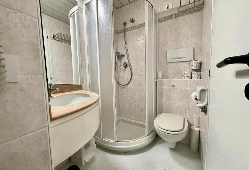 シングルデラックスルーム, Maestri