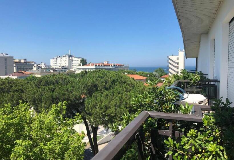 オーシャンビューデラックスルーム, Maestri