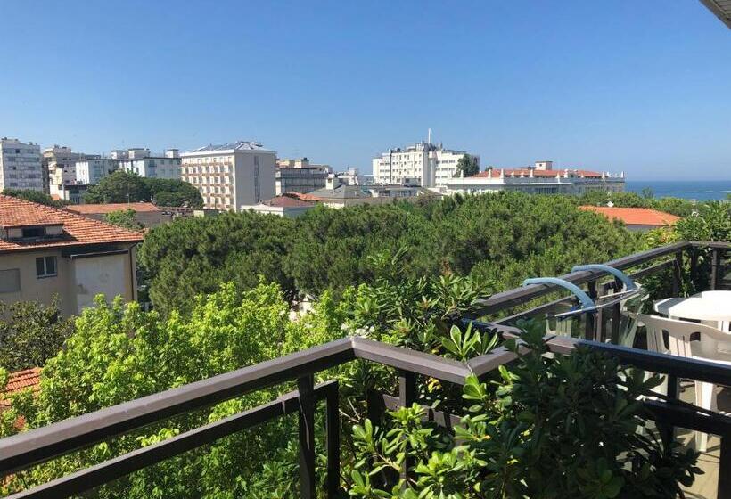 オーシャンビューのデラックストリプルルーム, Maestri