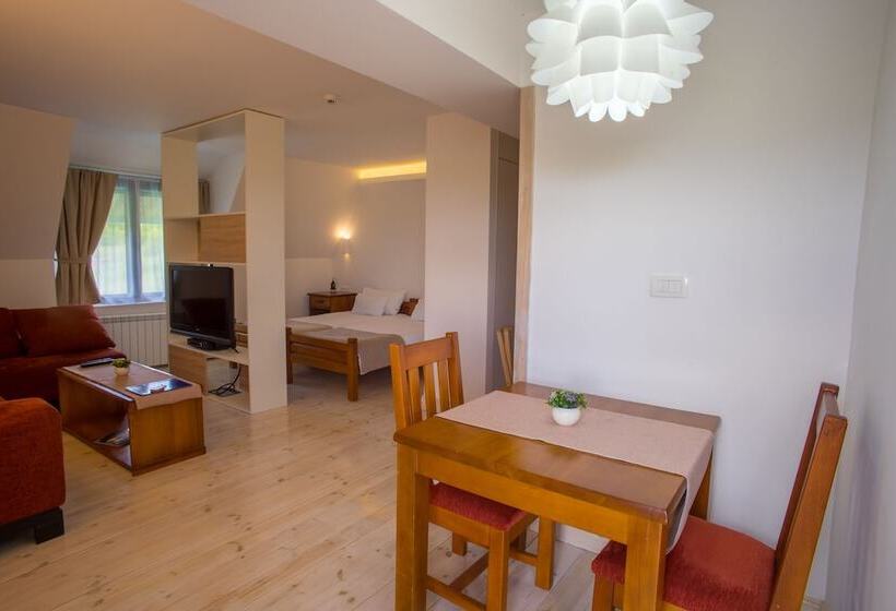 استودیوی استاندارد, Polar Star