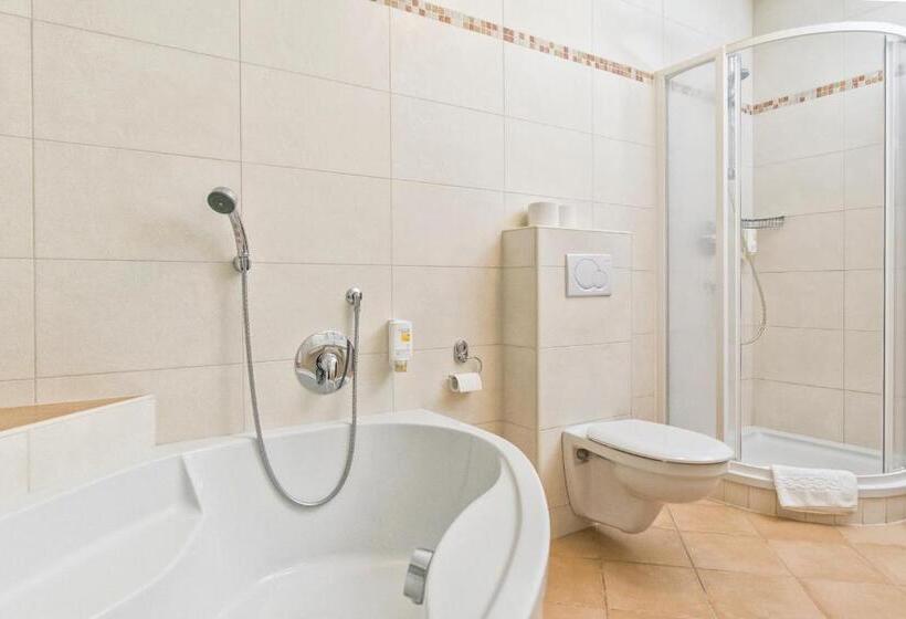 Номер Стандарт с Балконом, Simon   Das Vital