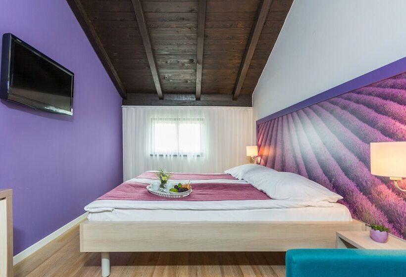 スタンダードルーム, Vista