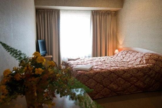 اتاق اکونومی, Zemgale