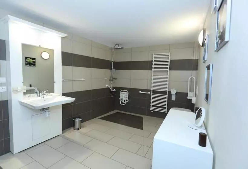 Cameră Standard Adaptată pentru Discapacitaţi, Chateau De Quesmy