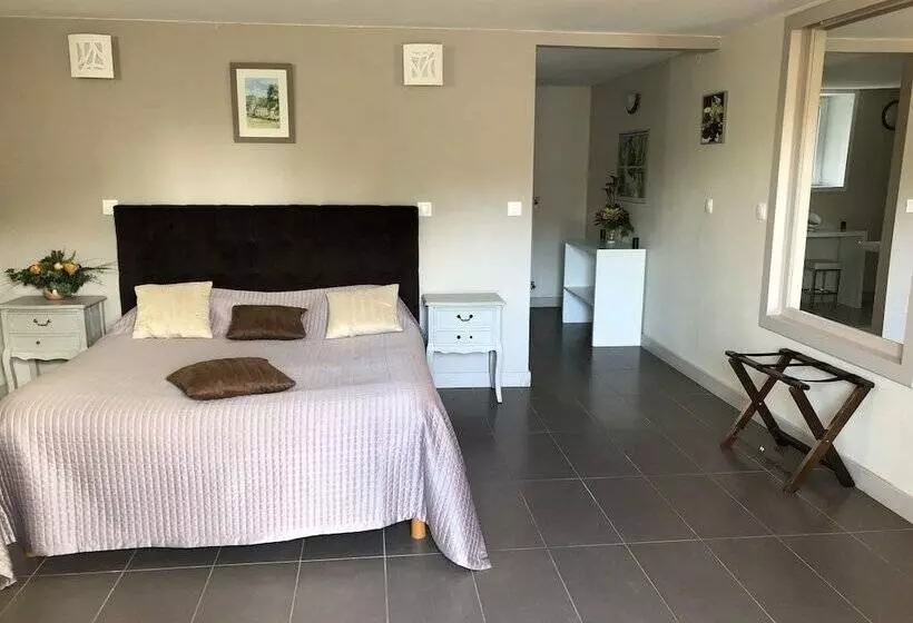 Cameră Standard Adaptată pentru Discapacitaţi, Chateau De Quesmy