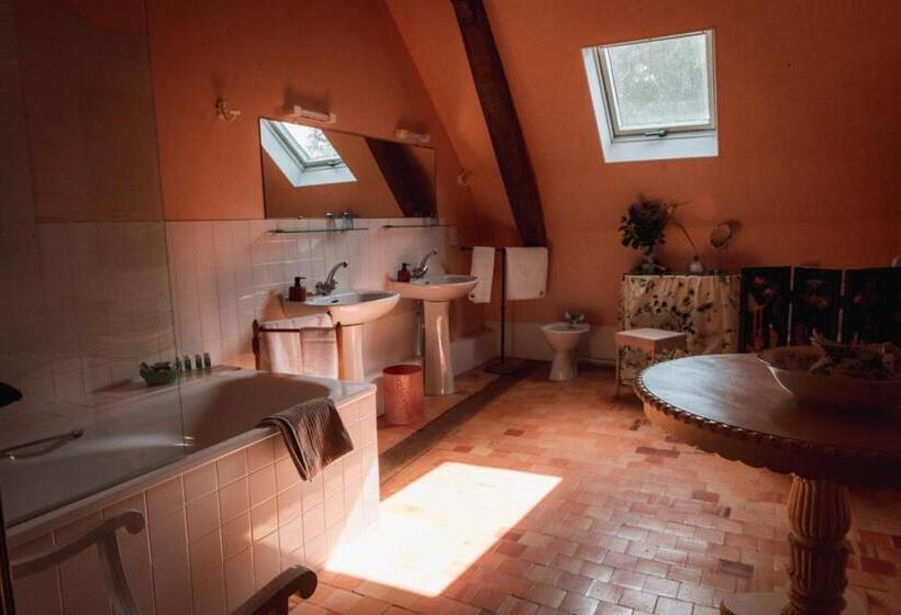 Полулюкс, Chateau Du Plessis  Anjou