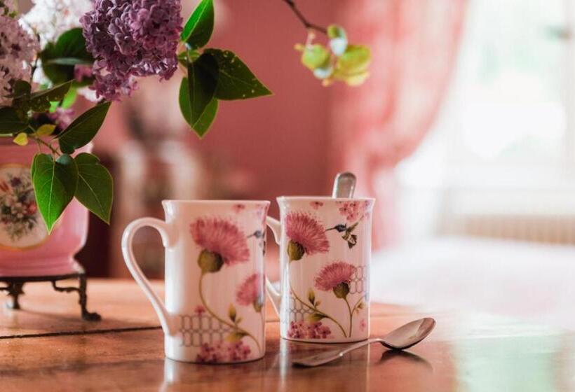 舒适型房间, Chateau Du Plessis Anjou