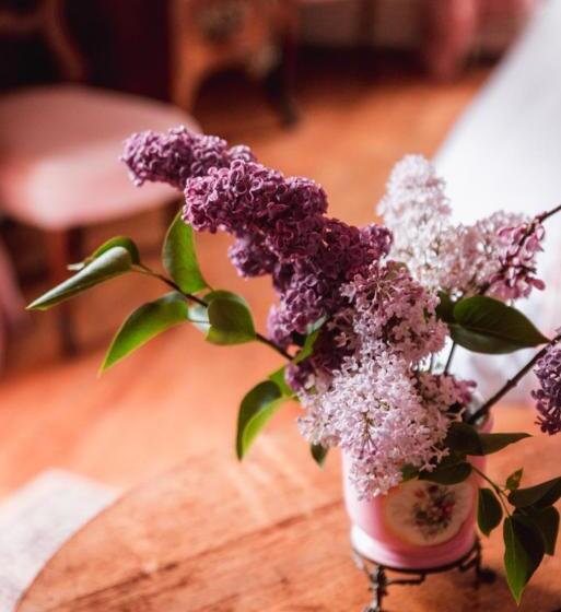 舒适型房间, Chateau Du Plessis Anjou