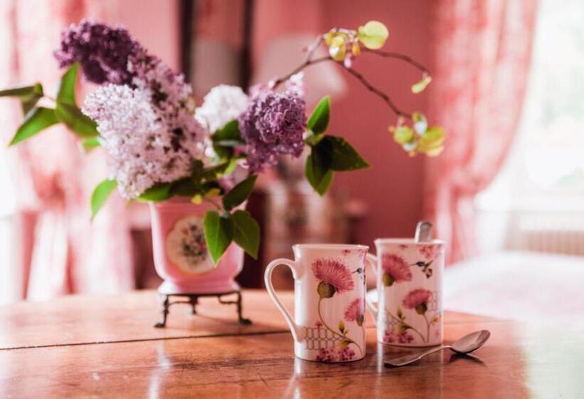 舒适型房间, Chateau Du Plessis Anjou