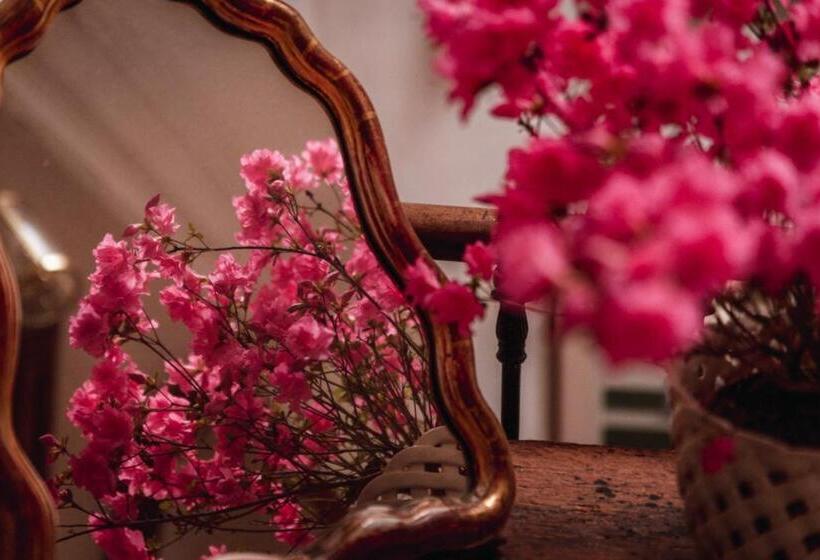 舒适型房间, Chateau Du Plessis Anjou