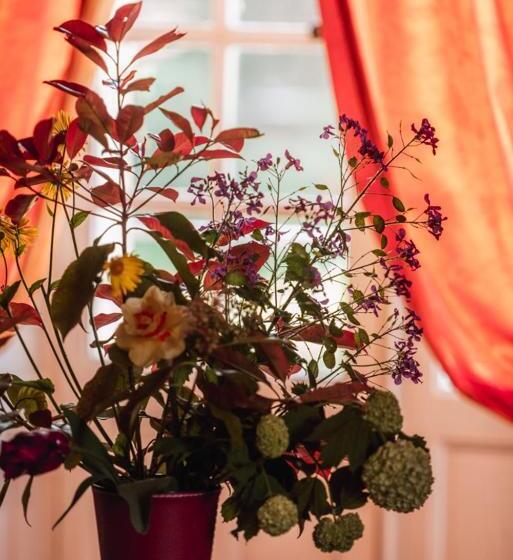 小型套房, Chateau Du Plessis Anjou