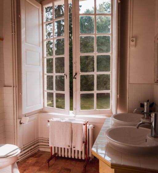 Полулюкс, Chateau Du Plessis  Anjou