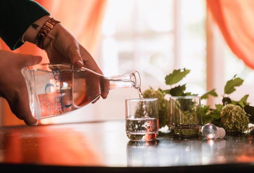 小型套房, Chateau Du Plessis Anjou