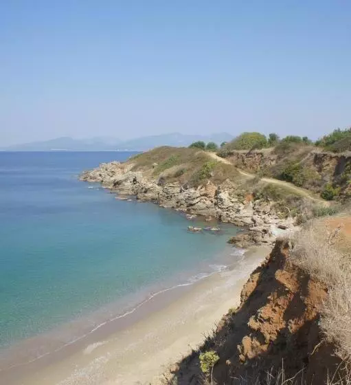 اتاق استاندارد, Dionisos