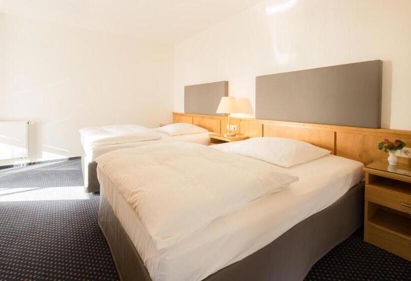 小型套房, Heidehof Garni