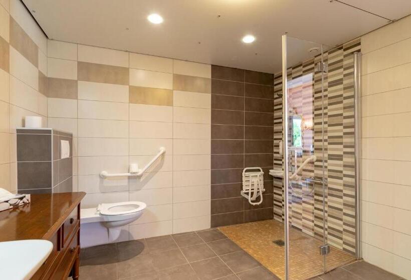 חדר סופריור עם מרפסת, Hôtel Restaurant Le Lac