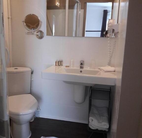 غرفة قياسية, Hôtel Restaurant Chez Carrière