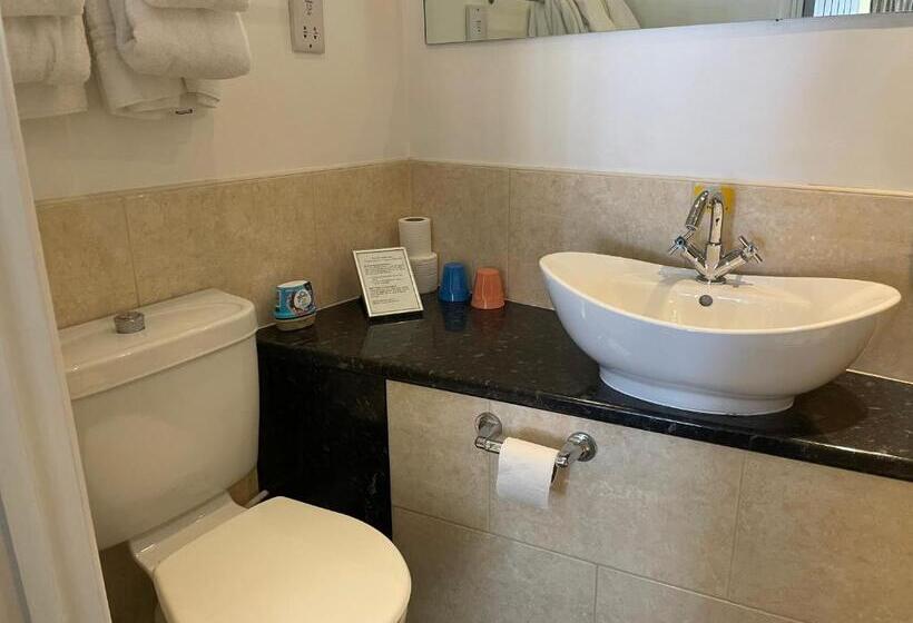 غرفة قياسية مزوَّدة بتراس, Knights Court