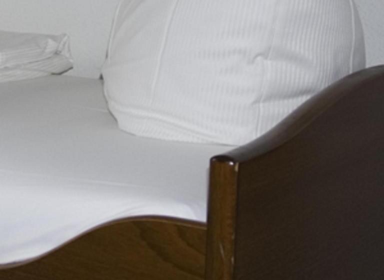 חדר סטנדרט יחיד, & Restaurant Schimmelreiter