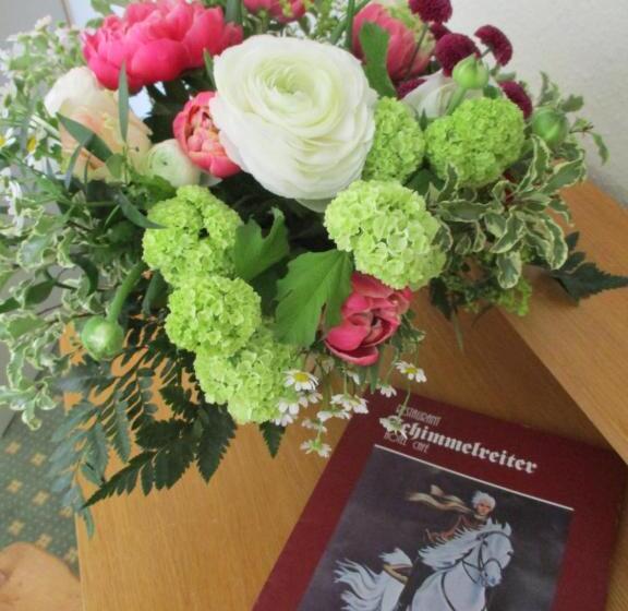 חדר סטנדרט יחיד, & Restaurant Schimmelreiter