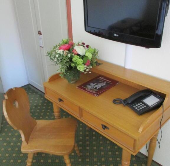 חדר סטנדרט יחיד, & Restaurant Schimmelreiter