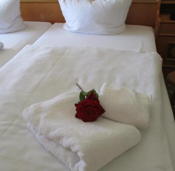 חדר סטנדרט יחיד, & Restaurant Schimmelreiter