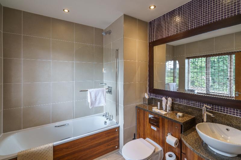 수피리어 룸, The Bear's Paw