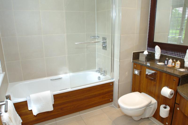 이그제큐티브 룸, The Bear's Paw