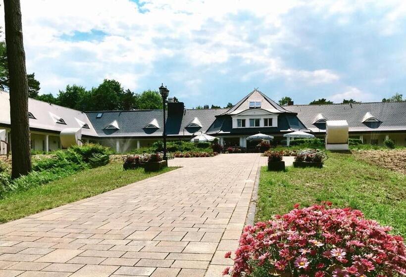 标准单人间, Residenz Waldoase