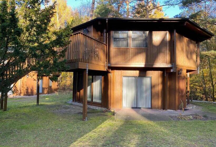 标准平房, Residenz Waldoase