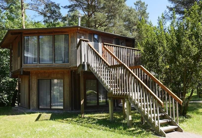 标准平房, Residenz Waldoase