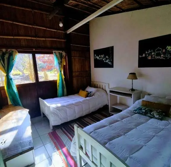 スタンダードルーム, Eco Hostel Lo De Lola
