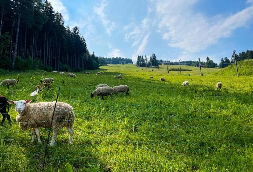 スタンダード４人部屋, Horský Penzion Vebrovy Boudy