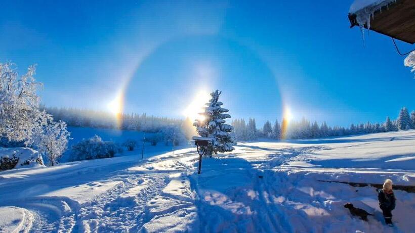 スタンダードルーム, Horský Penzion Vebrovy Boudy