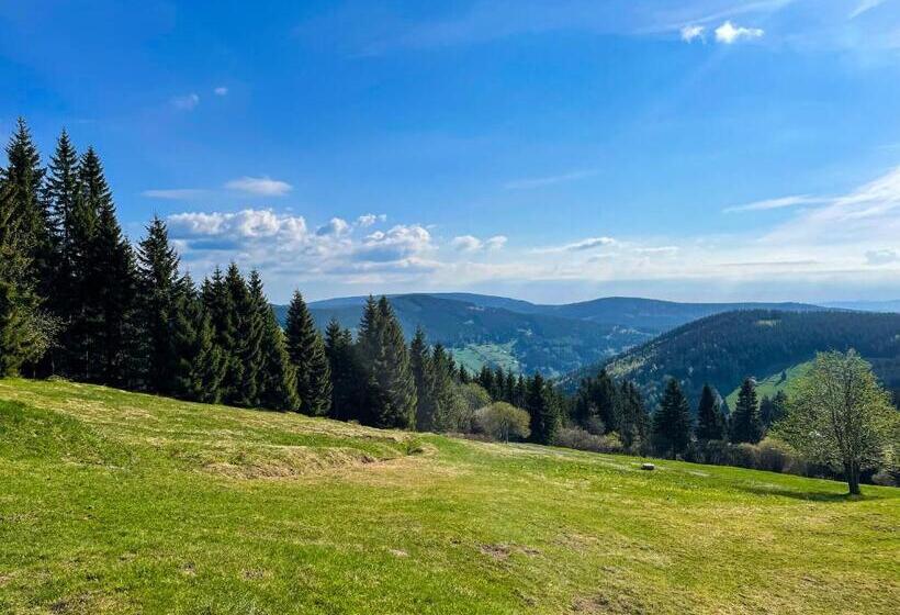 Номер Economy, Horský Penzion Vebrovy Boudy