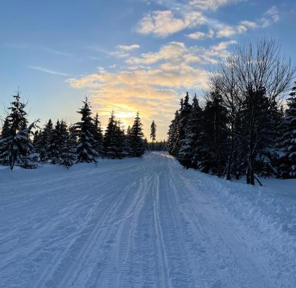 エコノミールーム, Horský Penzion Vebrovy Boudy