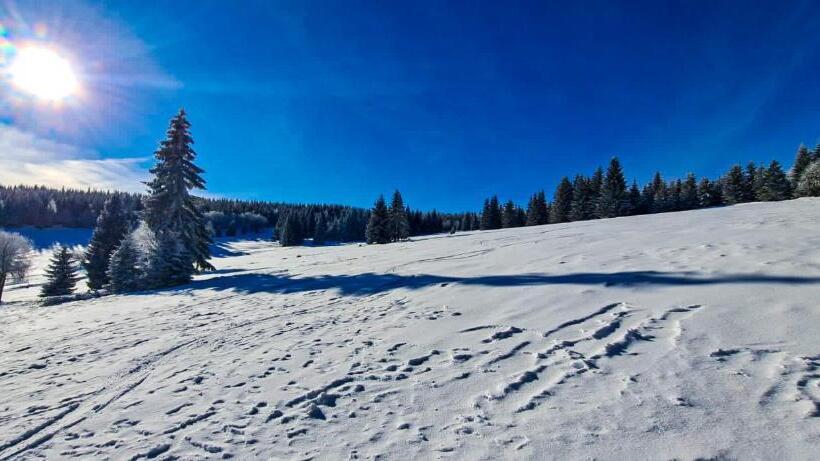 スタンダードルーム, Horský Penzion Vebrovy Boudy