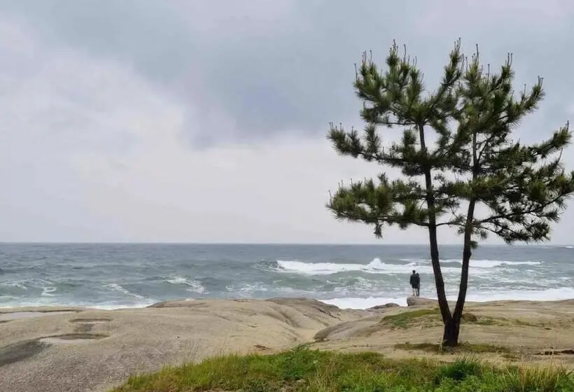 اتاق استاندارد با چشم‌انداز دریاچه, Lakestone&hotel Sokcho